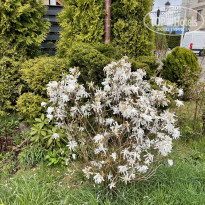 фото из отзыва ID 2279641