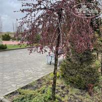 фото из отзыва ID 2279641