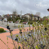 фото из отзыва ID 2279641