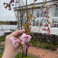 фото из отзыва ID 2279641