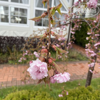 фото из отзыва ID 2279641