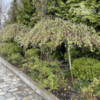 фото из отзыва ID 2279641