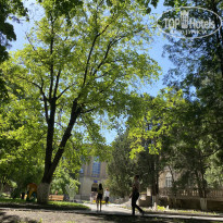 фото из отзыва ID 2279829