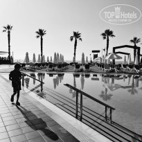 фото из отзыва ID 2279278