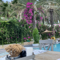 фото из отзыва ID 2278001