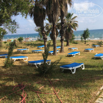 фото из отзыва ID 2278641