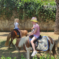 фото из отзыва ID 2275949