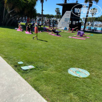 фото из отзыва ID 2277499