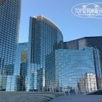 фото из отзыва ID 228010