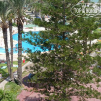 фото из отзыва ID 228520