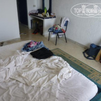 фото из отзыва ID 228520