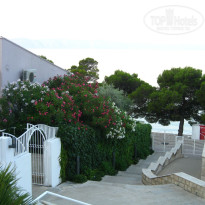 фото из отзыва ID 228949