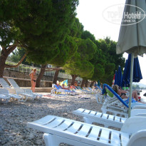 фото из отзыва ID 228949