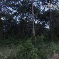 фото из отзыва ID 2280030