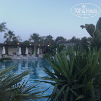 фото из отзыва ID 2280030