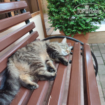 фото из отзыва ID 2280078