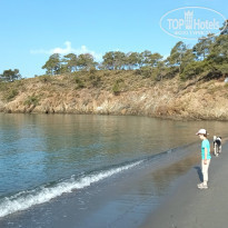 фото из отзыва ID 2280083