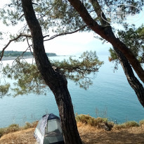 фото из отзыва ID 2280083