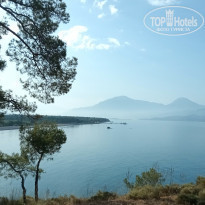 фото из отзыва ID 2280083