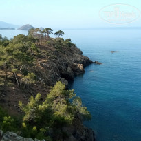 фото из отзыва ID 2280083