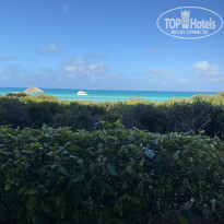 фото из отзыва ID 2280237