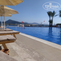 фото из отзыва ID 2280258