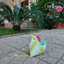 фото из отзыва ID 2280297