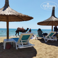 фото из отзыва ID 2280546