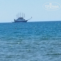 фото из отзыва ID 2280546