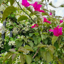 фото из отзыва ID 2280671