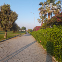 фото из отзыва ID 2280671