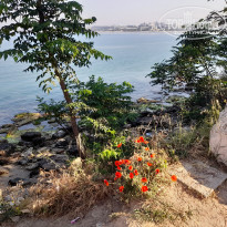 фото из отзыва ID 2280671