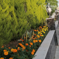 фото из отзыва ID 2280688