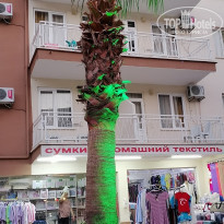 фото из отзыва ID 2280688