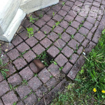 фото из отзыва ID 2280755