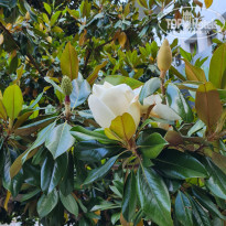 фото из отзыва ID 2280873