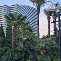 фото из отзыва ID 2280873