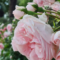 фото из отзыва ID 2280873