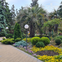 фото из отзыва ID 2280873