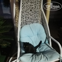 фото из отзыва ID 2280875