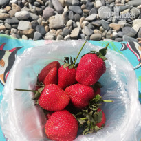 фото из отзыва ID 2280875