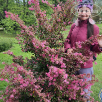 фото из отзыва ID 2280875