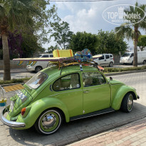 фото из отзыва ID 2280866