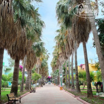 фото из отзыва ID 2280933