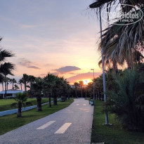 фото из отзыва ID 2280933