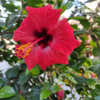 фото из отзыва ID 2280959