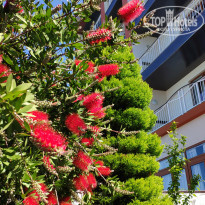 фото из отзыва ID 2281043