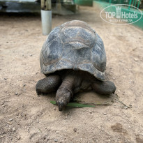 фото из отзыва ID 2281036