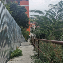 фото из отзыва ID 2281125