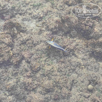 фото из отзыва ID 2281333